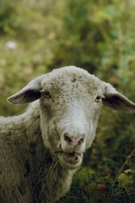 pexels-photo-34015805-34015805 pexels-photo-34015805-34015805.jpg